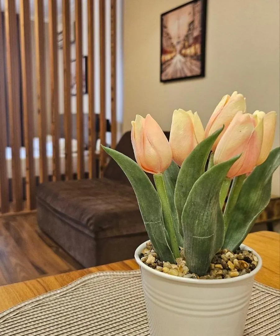 סוזופול Apartment 7 And Studio 2 Quietly And Peaceful Place To Relax